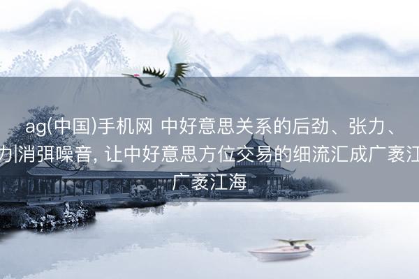 ag(中国)手机网 中好意思关系的后劲、张力、角力|消弭噪音， 让中好意思方位交易的细流汇成广袤江海