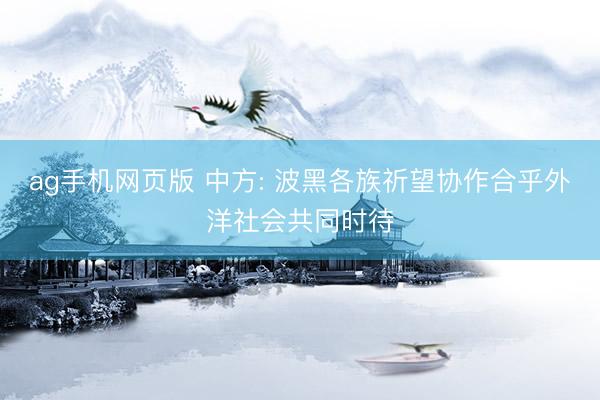 ag手机网页版 中方: 波黑各族祈望协作合乎外洋社会共同时待