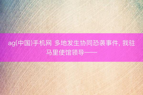 ag(中国)手机网 多地发生协同恐袭事件， 我驻马里使馆领导——