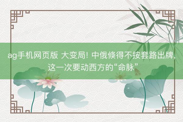 ag手机网页版 大变局! 中俄倏得不按套路出牌， 这一次要动西方的“命脉”