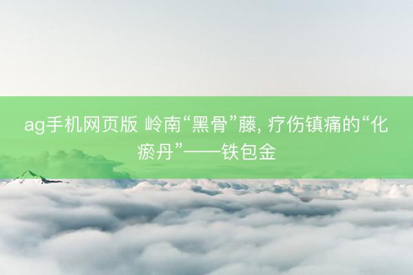 ag手机网页版 岭南“黑骨”藤， 疗伤镇痛的“化瘀丹”——铁包金