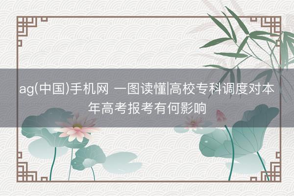 ag(中国)手机网 一图读懂|高校专科调度对本年高考报考有何影响