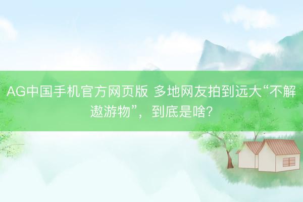 AG中国手机官方网页版 多地网友拍到远大“不解遨游物”，到底是啥？