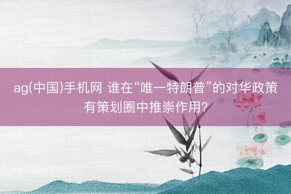 ag(中国)手机网 谁在“唯一特朗普”的对华政策有策划圈中推崇作用？