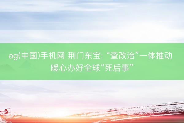 ag(中国)手机网 荆门东宝: “查改治”一体推动 暖心办好全球“死后事”