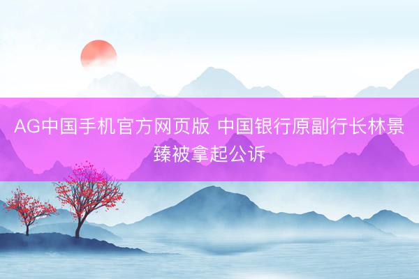 AG中国手机官方网页版 中国银行原副行长林景臻被拿起公诉