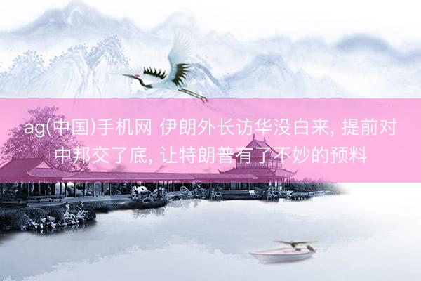 ag(中国)手机网 伊朗外长访华没白来， 提前对中邦交了底， 让特朗普有了不妙的预料