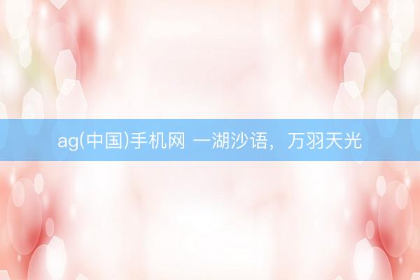 ag(中国)手机网 一湖沙语，万羽天光