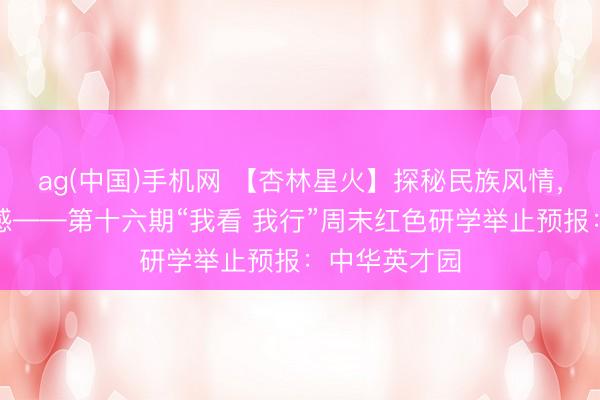 ag(中国)手机网 【杏林星火】探秘民族风情,共铸中华情感——第十六期“我看 我行”周末红色研学举止预报:中华英才园