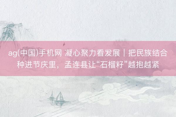 ag(中国)手机网 凝心聚力看发展｜把民族结合种进节庆里，孟连县让“石榴籽”越抱越紧