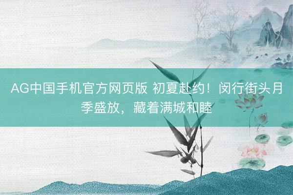 AG中国手机官方网页版 初夏赴约！闵行街头月季盛放，藏着满城和睦