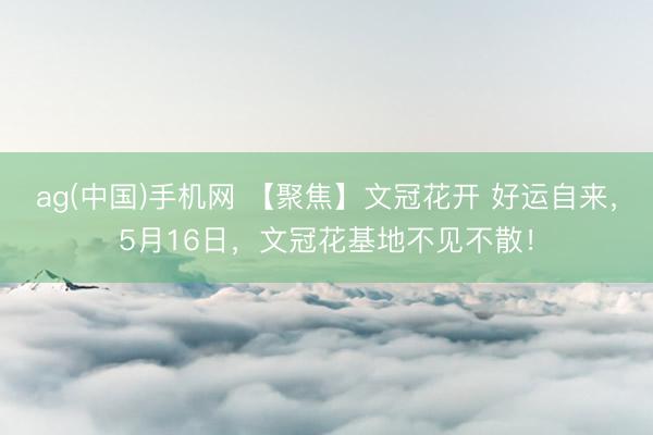 ag(中国)手机网 【聚焦】文冠花开 好运自来，5月16日，文冠花基地不见不散！