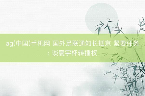 ag(中国)手机网 国外足联通知长抵京 紧要任务: 谈寰宇杯转播权