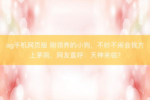 ag手机网页版 刚领养的小狗，不吵不闹会我方上茅厕，网友直呼：天神来临？