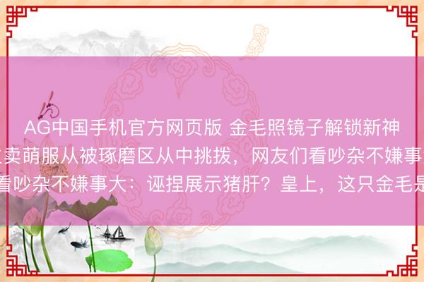 AG中国手机官方网页版 金毛照镜子解锁新神采，兴隆朝主东说念主卖萌服从被琢磨区从中挑拨，网友们看吵杂不嫌事大：诬捏展示猪肝？皇上，这只金毛是在耍你啊…