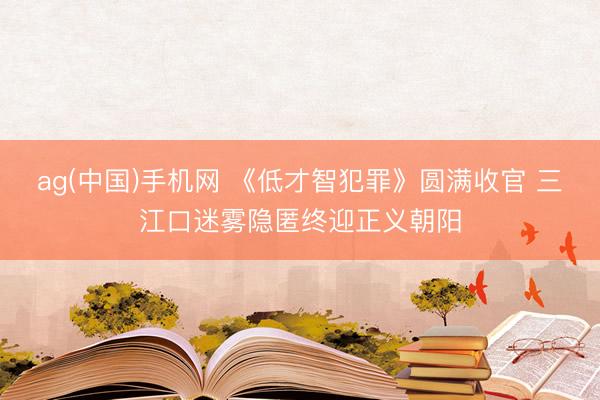 ag(中国)手机网 《低才智犯罪》圆满收官 三江口迷雾隐匿终迎正义朝阳