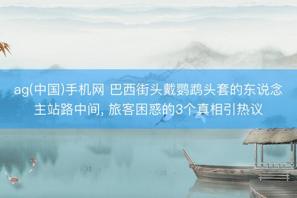 ag(中国)手机网 巴西街头戴鹦鹉头套的东说念主站路中间， 旅客困惑的3个真相引热议