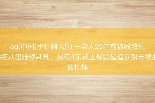 ag(中国)手机网 湛江一男人25年前被殴致死：3名从犯陆续判刑，另有4东谈主疑因超追诉期未被批捕