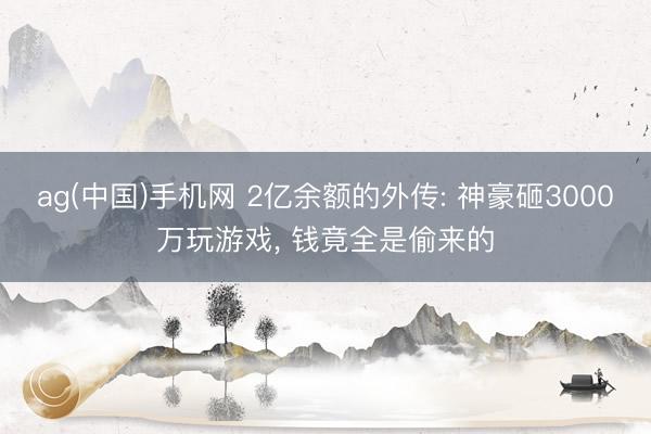 ag(中国)手机网 2亿余额的外传: 神豪砸3000万玩游戏， 钱竟全是偷来的