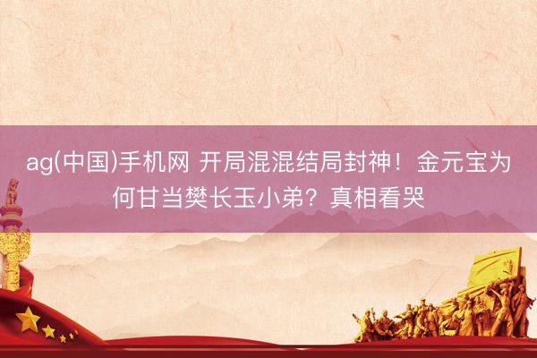 ag(中国)手机网 开局混混结局封神！金元宝为何甘当樊长玉小弟？真相看哭