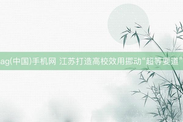 ag(中国)手机网 江苏打造高校效用挪动“超等要道”