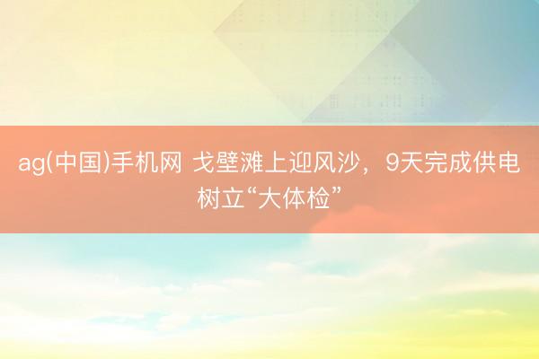 ag(中国)手机网 戈壁滩上迎风沙，9天完成供电树立“大体检”