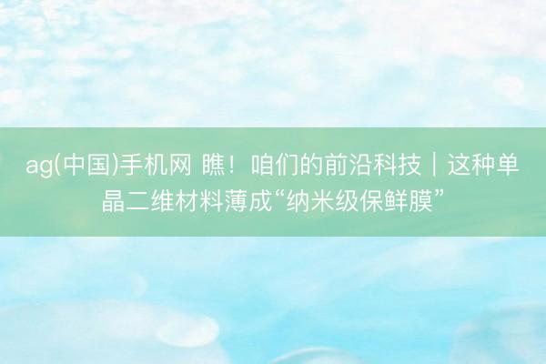 ag(中国)手机网 瞧！咱们的前沿科技｜这种单晶二维材料薄成“纳米级保鲜膜”