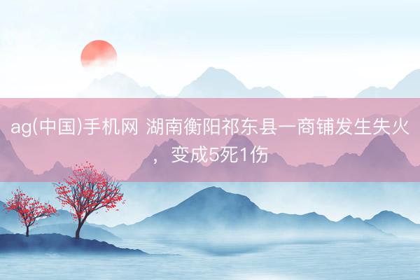 ag(中国)手机网 湖南衡阳祁东县一商铺发生失火,变成5死1伤