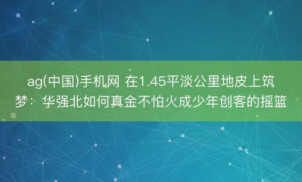ag(中国)手机网 在1.45平淡公里地皮上筑梦：华强北如何真金不怕火成少年创客的摇篮