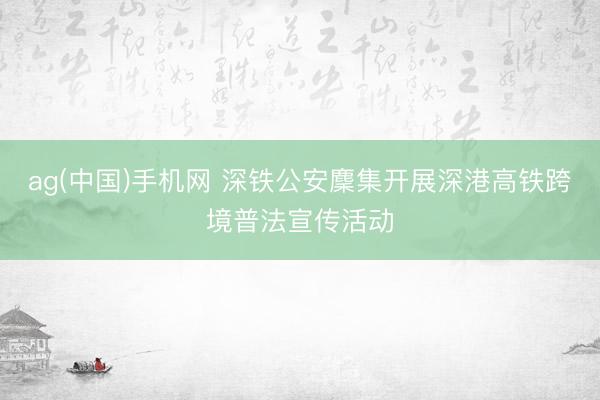 ag(中国)手机网 深铁公安麇集开展深港高铁跨境普法宣传活动