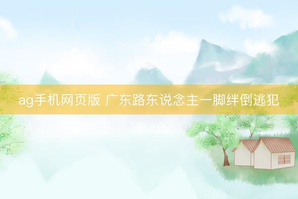 ag手机网页版 广东路东说念主一脚绊倒逃犯