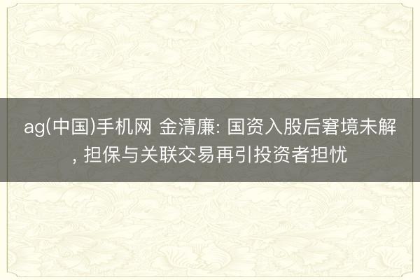 ag(中国)手机网 金清廉: 国资入股后窘境未解, 担保与关联交易再引投资者担忧